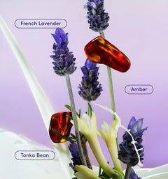 Skin Replenishing Body Wash - Bright Scent