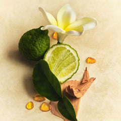 All Over Deo - Warm Blend